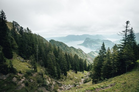 Blick aus der Zahnradbahn oberhalb Aemsigen am Pilatus_Fotograf_Twintheworld